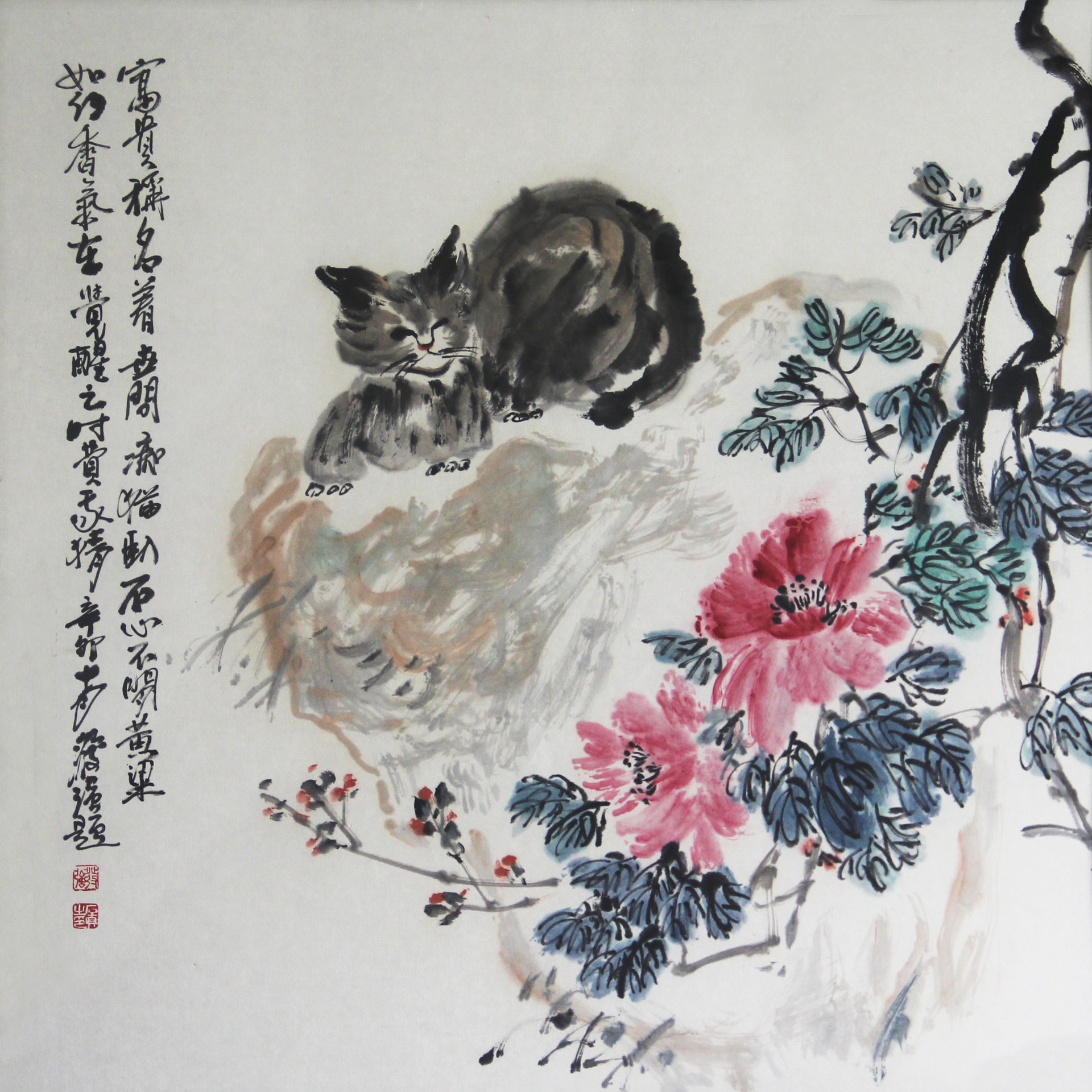 痴猫卧石