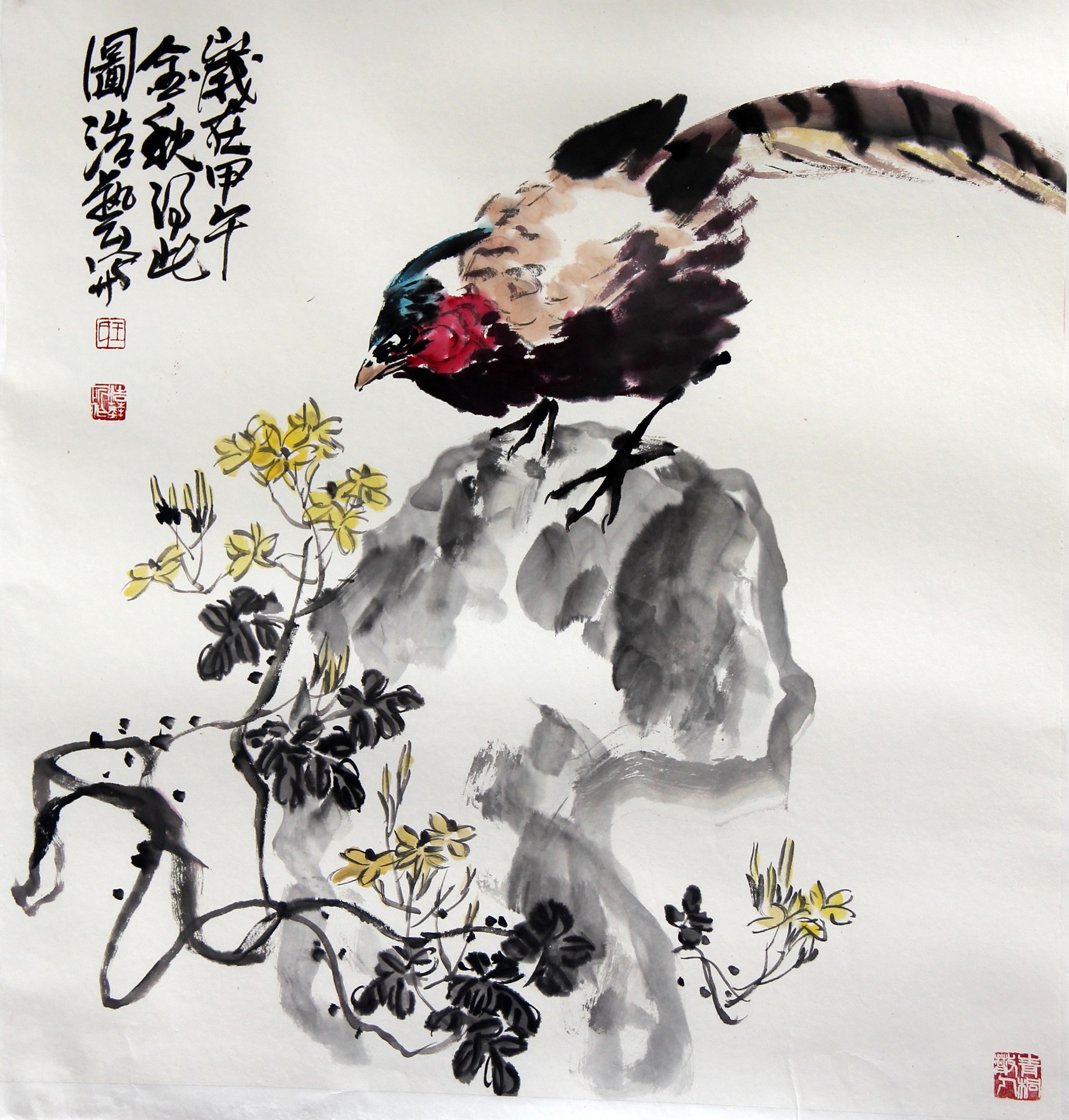 花鸟