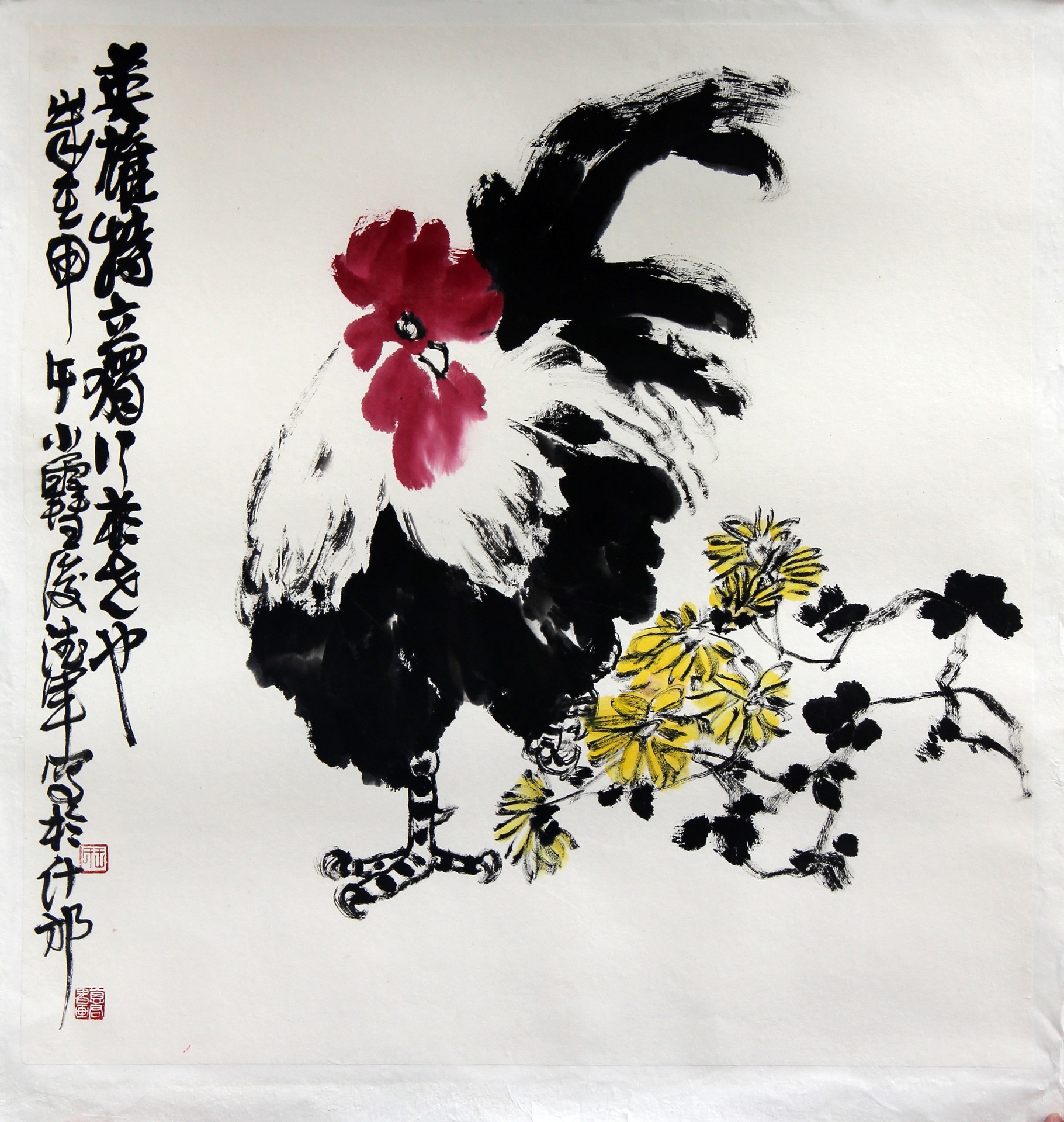 花鸟
