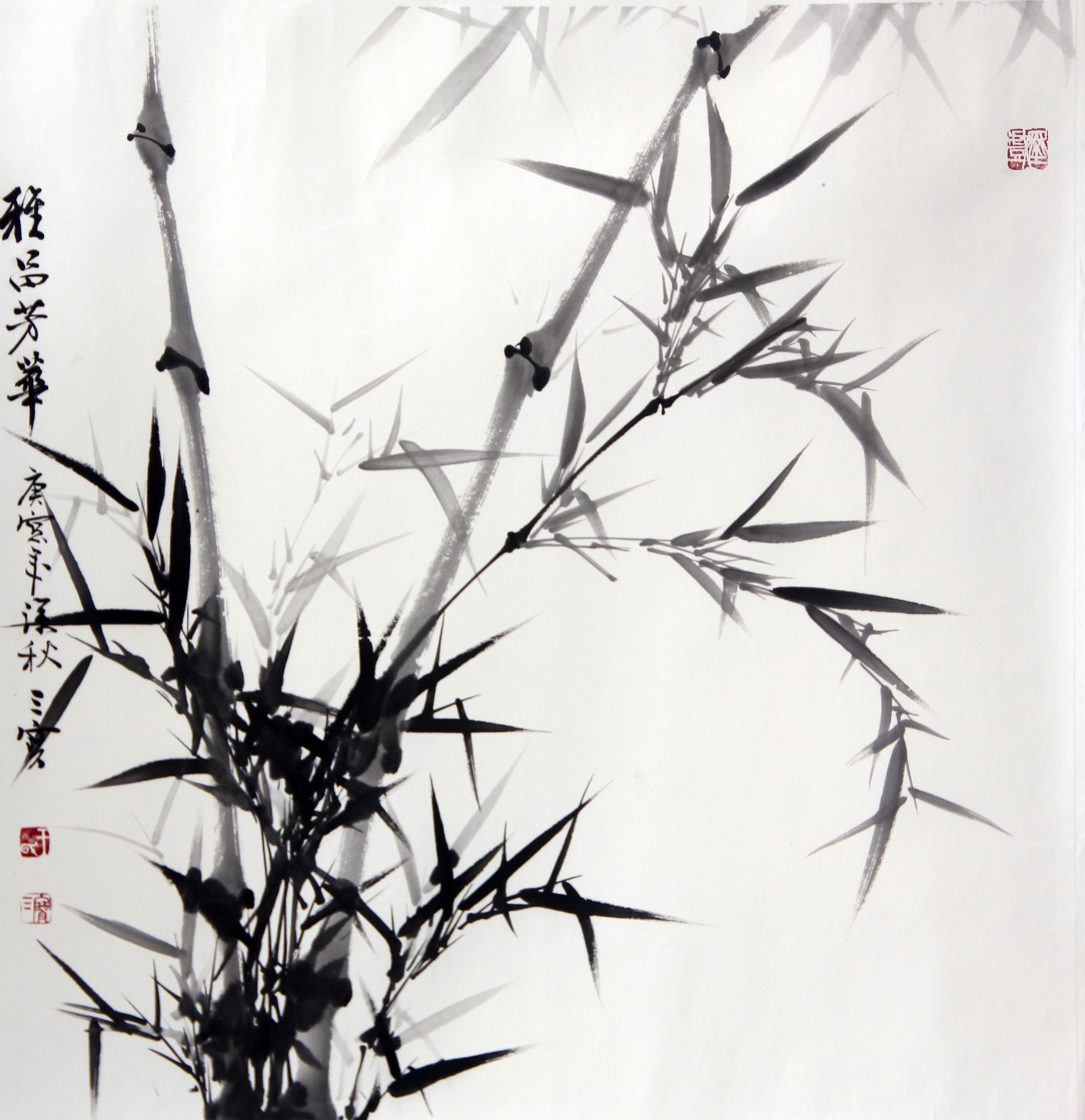 雅吕芳华