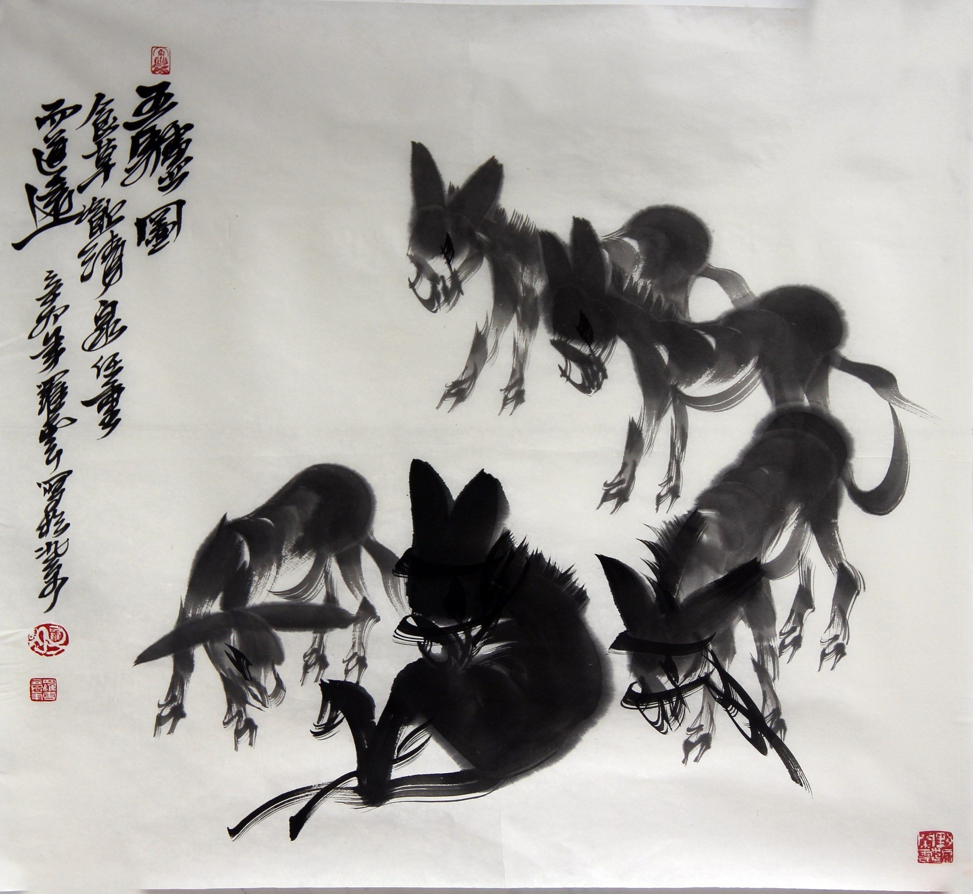 群驴图
