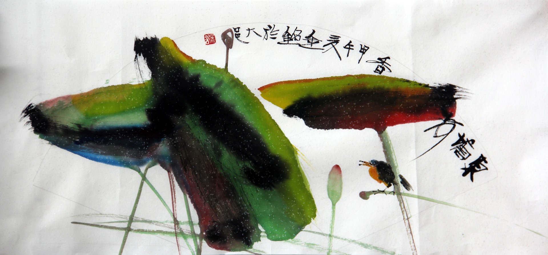 彩荷
