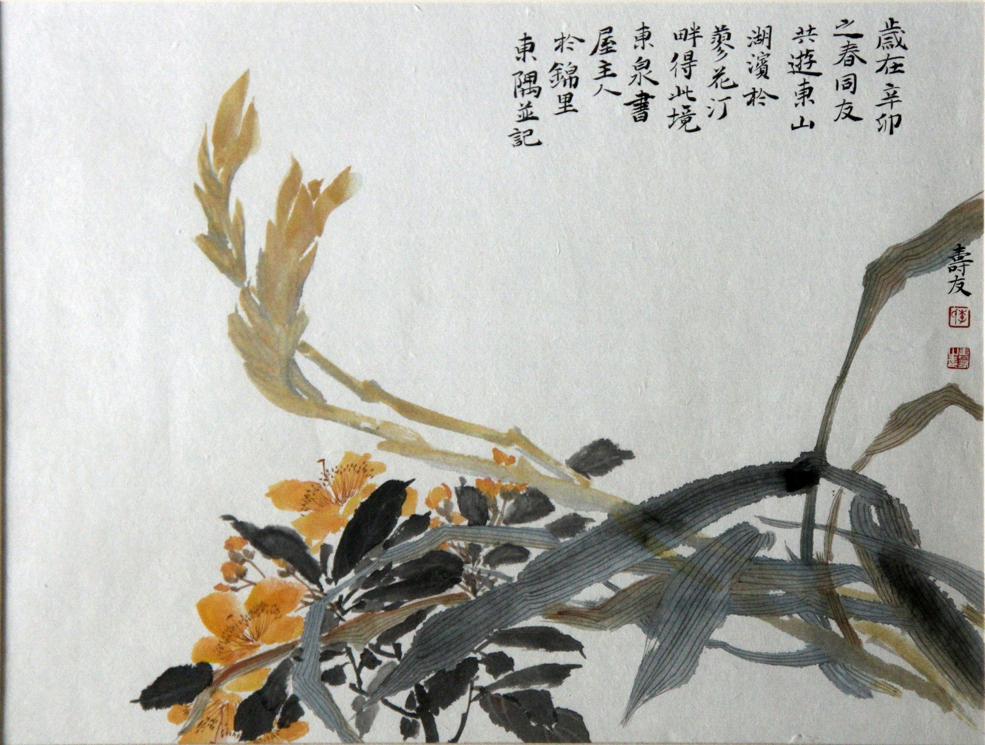 花鸟
