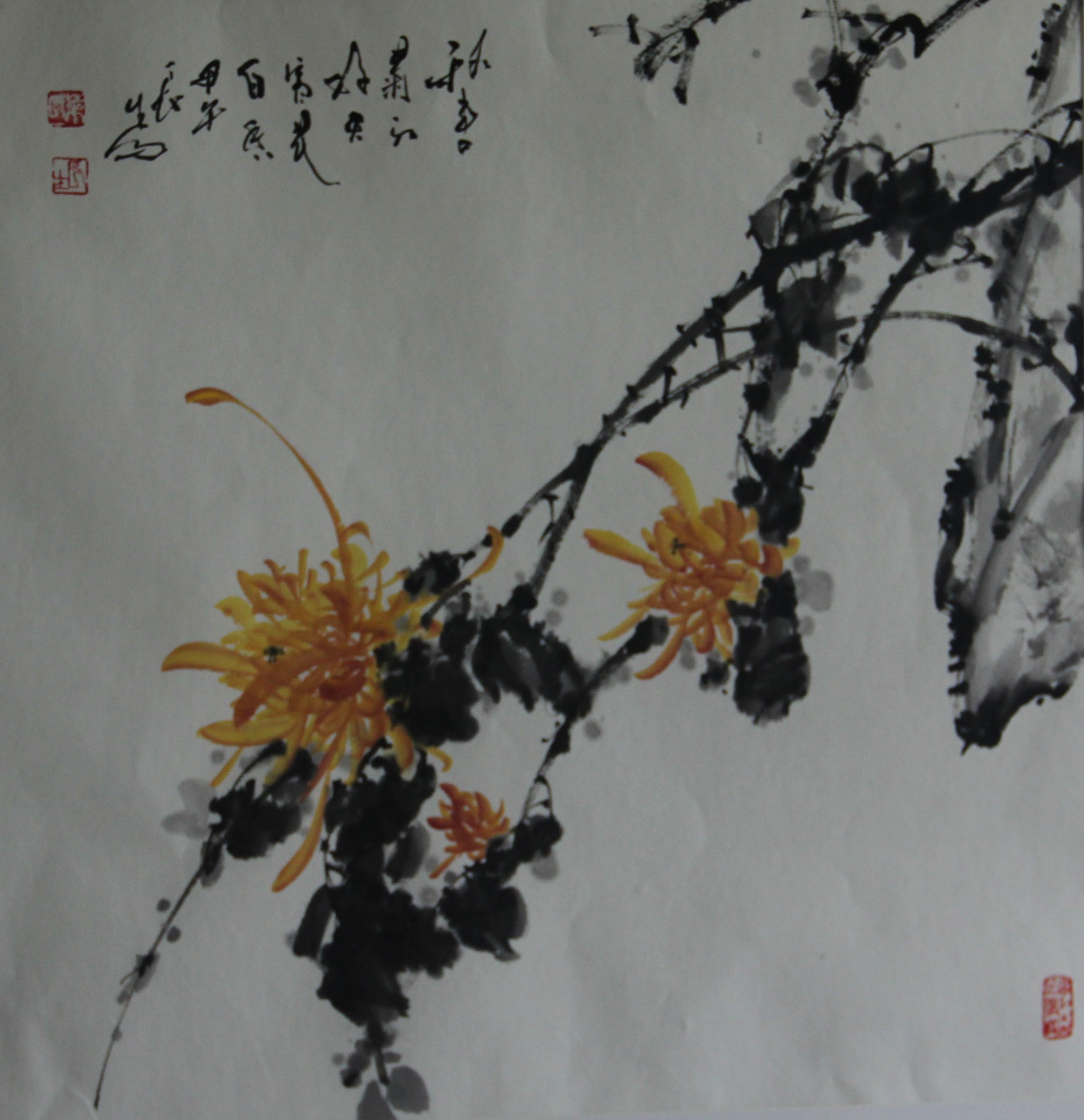 秋葡