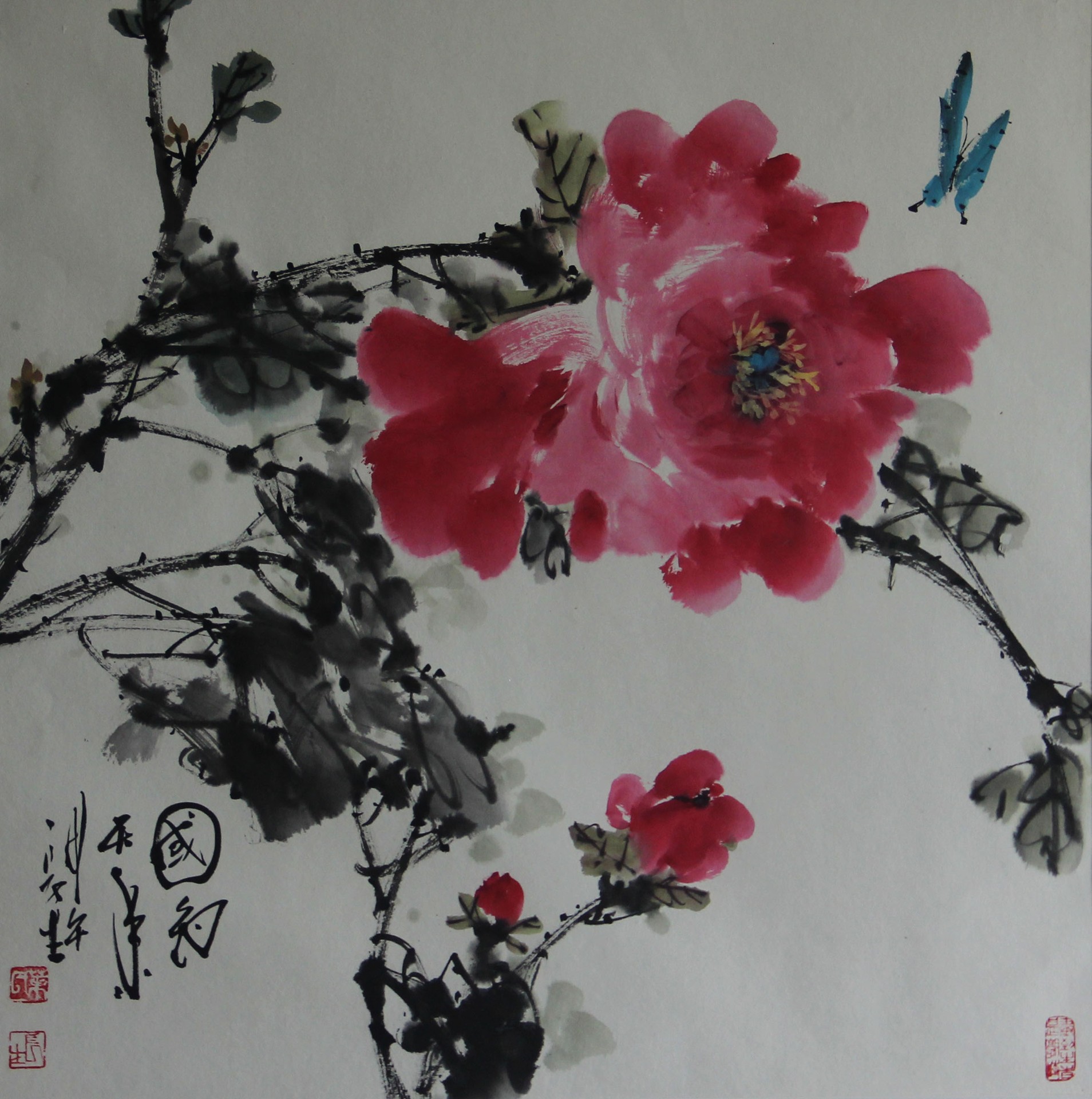 牡丹花